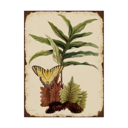 Trademark Fine Art Jean Plout 'Ferns On Vintage Tin' Canvas Art, 35x47 ALI37259-C3547GG